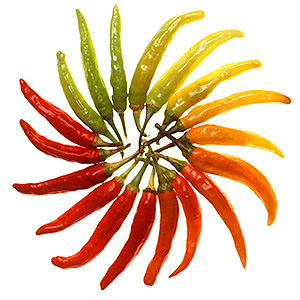 colorful peppers